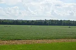 Along State Route 37 northwest of Alexandria