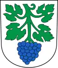 Coat of arms of St. Margrethen