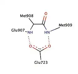 Helixes