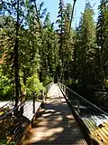 Skokimish River Suspension Bridge at Staircase, 2024