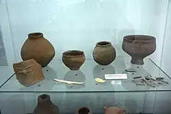 Starčevo culture artefacts