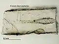 Cosmic dust caught in aerogel blocks from "Stardust". (NASA)