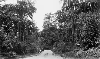 Motor vehicle travelling along the North Coast Road, 1935