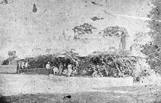 Sugar Plantation, Rubyanna, 1880s