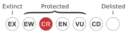 Critically endangered
