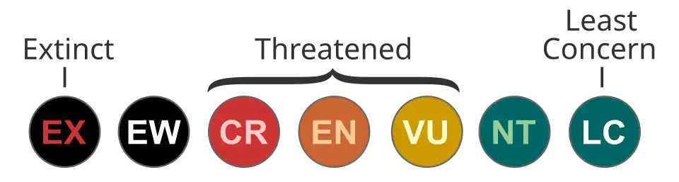 IUCN Red List category abbreviations (version 3.1, 2001)