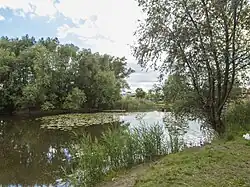 The Czyste Pond in Nowe Jeziorki in 2020.
