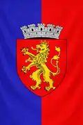 Flag of Sebeș