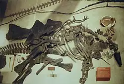 Roadkill the Stegosaurus