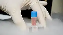 Stem cell vial