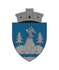 Coat of arms of Dămuc