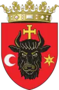 Coat of arms of Southern Maramureș