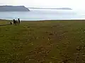 Stepper Point (with Trevose Head in the distance, right), viewed from Pentire Farm.