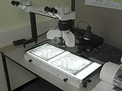 Photogrammetry[18]