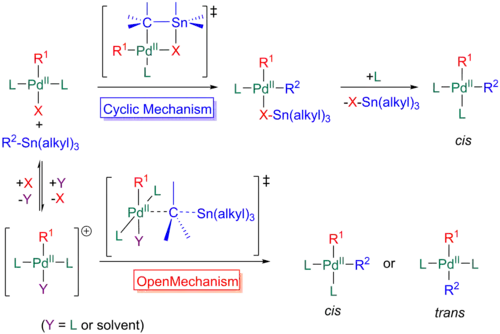 The two mechanisms, cyclic and open, of transmetallation in the Stille reaction