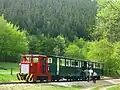 C-50 on the Felsőtárkány National Forest Railway