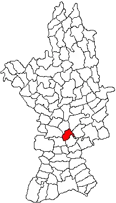 Location in Olt County