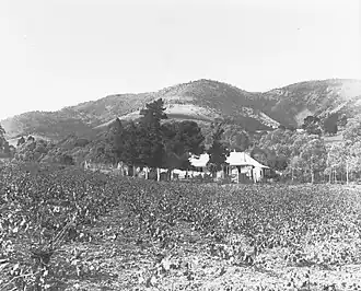Stonyfell, ca. 1915