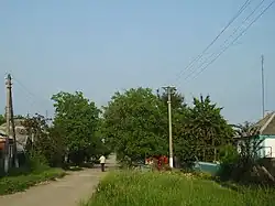 Street in Timashevsky, Timashevsky District