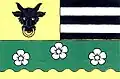 Flag of Strachujov