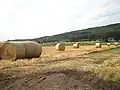 Rural panorama in Otofuke