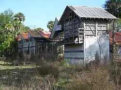 Weeds and vines around the abandoned buildings
