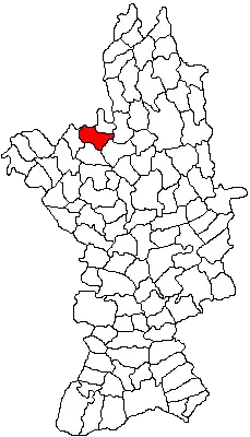 Location in Olt County