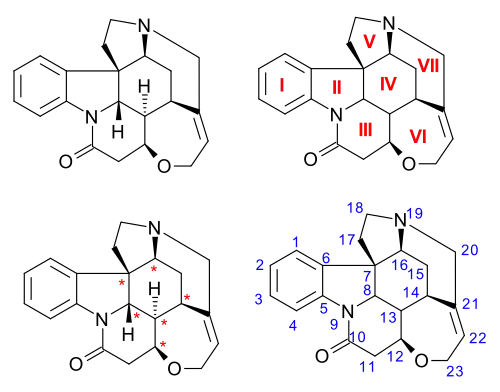 Strychnine numbering conventions