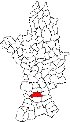 Location in Olt County