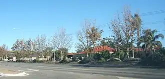 Houses on the western side of Marion Road