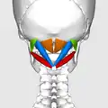 Still image.