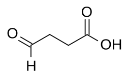 2D representation of the chemical structure of succinic semialdehyde .