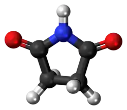 Ball-and-stick model of the succinimide molecule