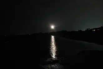Charleston Light viewed from the beach at night