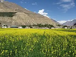 Shimshal in the spring