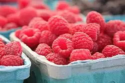 Photograph of blue cardboard basket of fresh red raspberries