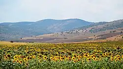 Karacaören countryside, Boztepe