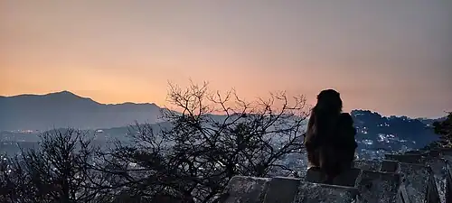Sunset from Swayambhunath Mahachaitya