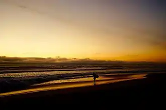 Gunnamatta Beach, January 2017