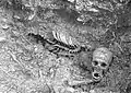 Skeleton from Duboka Dolina