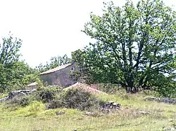 Sv. Uršule church in Mali Podol