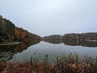 Swan Lake