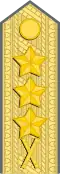 Generallöjtnant[51] (Swedish Army)