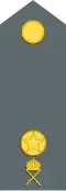 Sergeant (Swedish Army)[108]