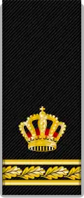 Swedish Police Authority