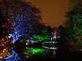 Syon Park Enchanted Woodland