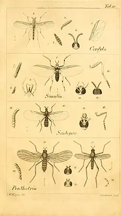 Vol 1, 1818, Plate 10