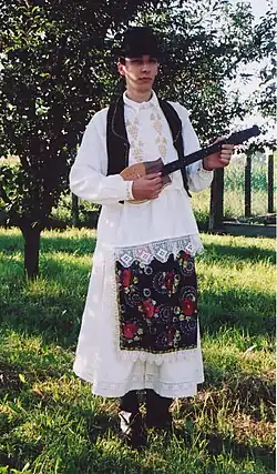 Southern/Central European tamburica