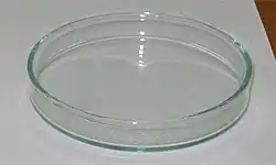 Petri dish