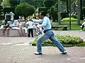 Group of practitioners of Tai Chi in the park in the morning.